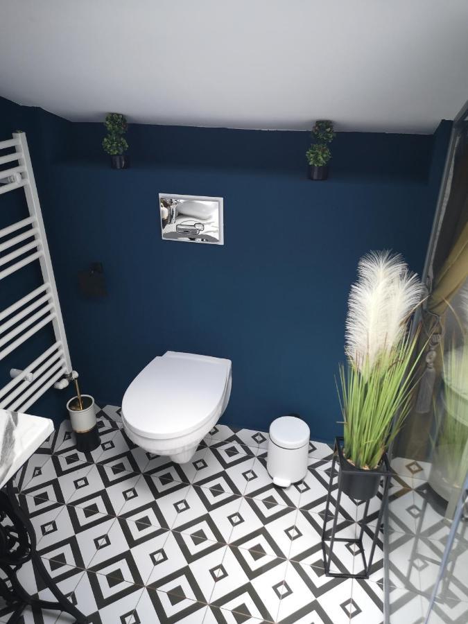 Ivy Boutique Apartment Брашов Екстериор снимка